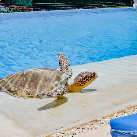 Villa Del Pescador Zihuatanejo Ngoại thất bức ảnh